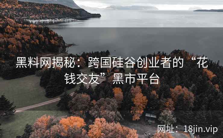 黑料网揭秘：跨国硅谷创业者的“花钱交友”黑市平台