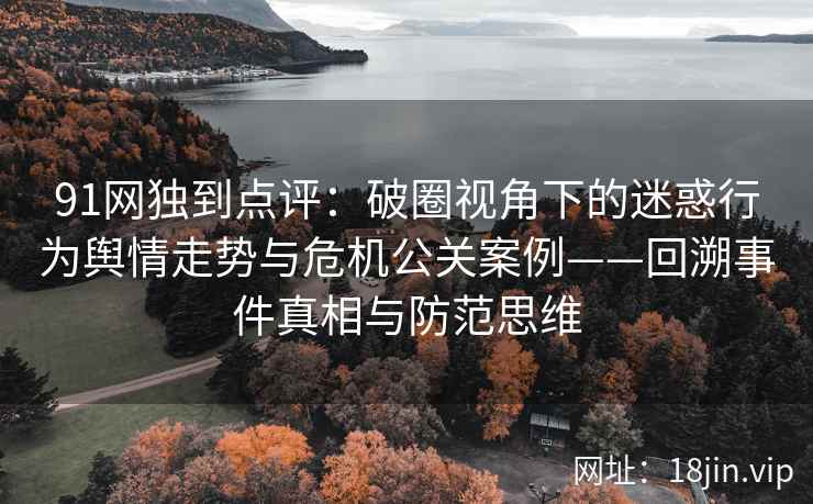 91网独到点评：破圈视角下的迷惑行为舆情走势与危机公关案例——回溯事件真相与防范思维