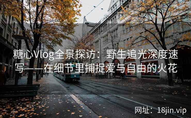 糖心Vlog全景探访：野生追光深度速写——在细节里捕捉爱与自由的火花