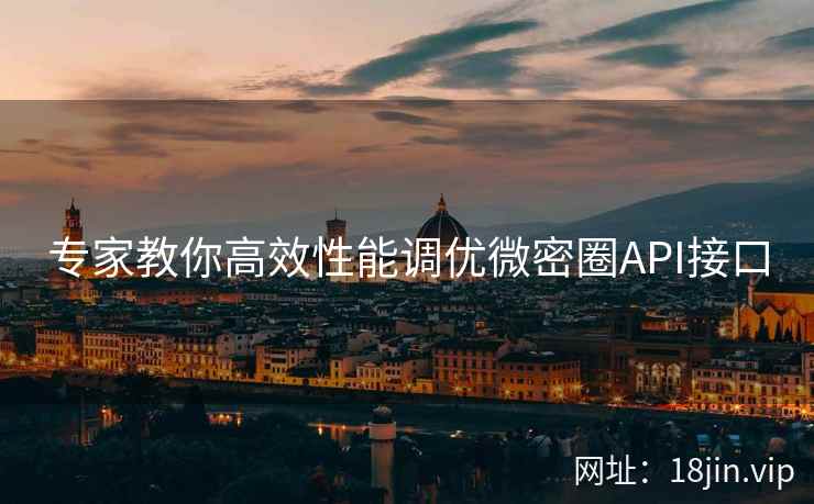专家教你高效性能调优微密圈API接口