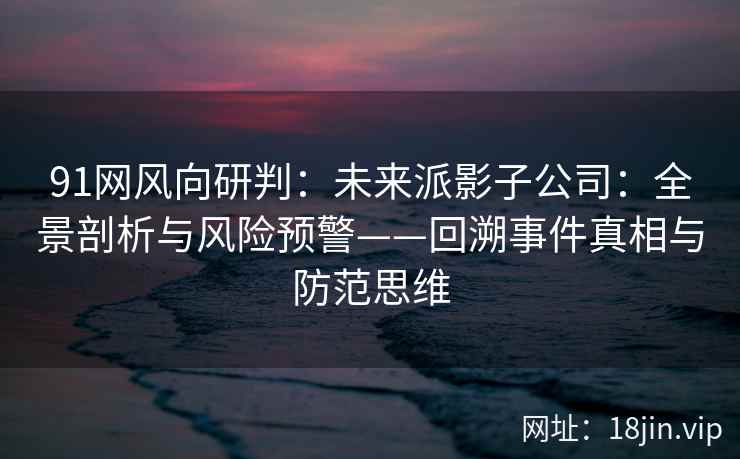91网风向研判：未来派影子公司：全景剖析与风险预警——回溯事件真相与防范思维