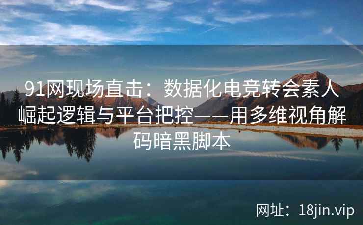 91网现场直击：数据化电竞转会素人崛起逻辑与平台把控——用多维视角解码暗黑脚本