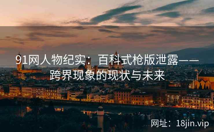 91网人物纪实：百科式枪版泄露——跨界现象的现状与未来