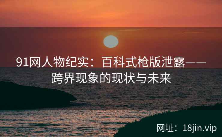 91网人物纪实：百科式枪版泄露——跨界现象的现状与未来