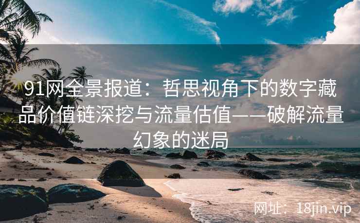 91网全景报道：哲思视角下的数字藏品价值链深挖与流量估值——破解流量幻象的迷局